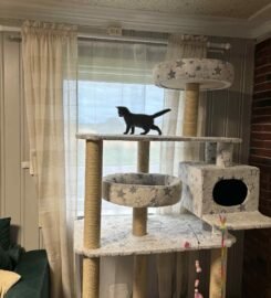 Lietuviškos draskyklės katinukams