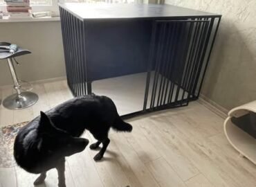 Metalinis narvas juodos spalvos