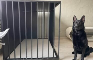 Metalinis narvas juodos spalvos