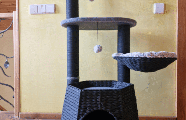 Draskyklė katėms Flamingo Berliot juodos spalvos 90x65x118 cm (naudotas ekspozijoje)