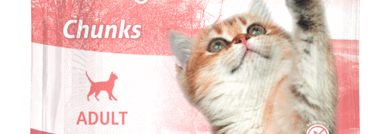 PRINCESS Lifestyle šlapias ėdalas katėms su lašiša 100g