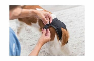 Apsauginės daugkartinės kelnaitės kalėms