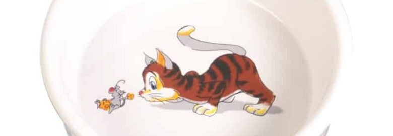 Keramikinis dubenėlis katei, 0.2 l / 12 cm