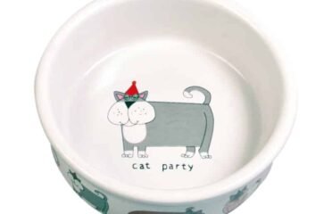 Keramikinis dubenėlis katėms, 0.2 l