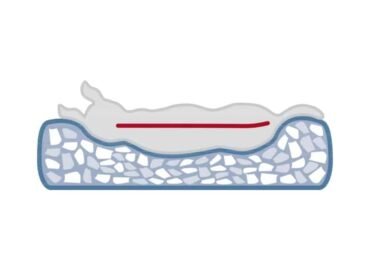 Guolis katei Trixie Noah, 45x40x43cm