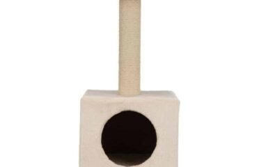 Draskyklė su būda, 60 cm