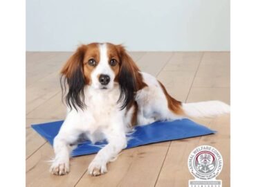 Vėsinantis kilimėlis 100×60 cm