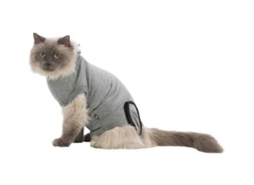 Apsauginis bodis katėms, įvairių dydžių