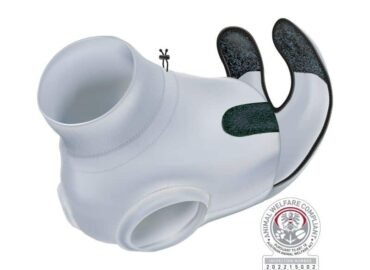 Apsauginis bodis katėms, įvairių dydžių