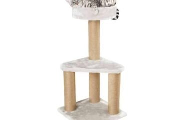 Draskyklė katėms, 82 cm aukščio