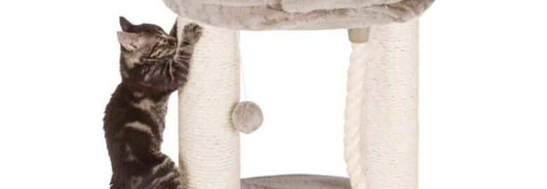 Trixie draskyklė katėms, 60 cm