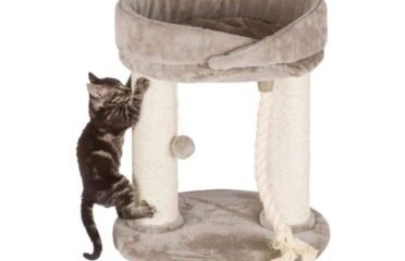 Trixie draskyklė katėms, 60 cm