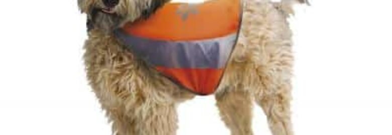 Croci atspindinti liemenė šuniui