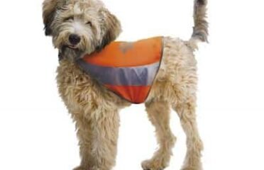 Croci atspindinti liemenė šuniui