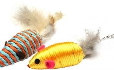 Pelytės katei Pet Nova 7x3cm 3vnt