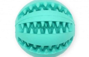 Mėtinis kamuoliukas šunims Pet Nova 7cm 2vnt