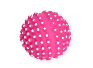 Cypiantis spygliuotas kamuolys šunims Pet Nova 6.5cm 2vnt