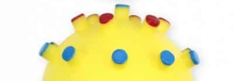 Cypiantis spygliuotas kamuolys šunims Pet Nova 12cm 2vnt