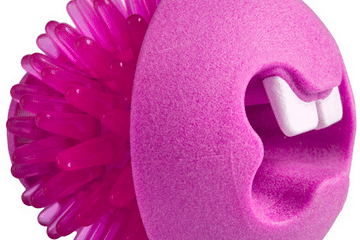 Rožinis kamuoliukas su spygliais Rogz Fred 6.4cm