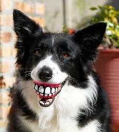 Mėlynas plūduriuojantis kamuoliukas 78mm