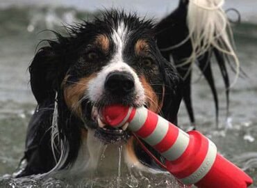 Plūduriuojantis švyturys Rogz 25cm