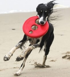 Skraidanti lėkštė geltona Rogz 23cm