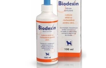 Ausų losjonas šunims 100 ml