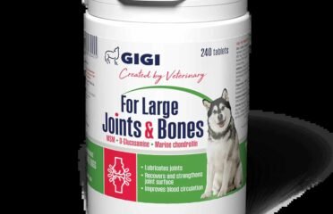 Papildai dideliems šunims sąnariams ir kaulams Gigi For Large Joints & Bones 240 tab
