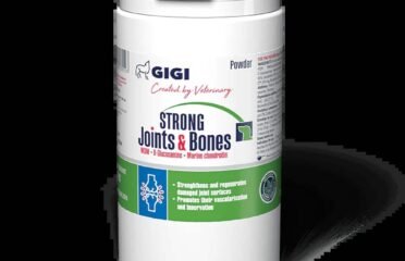 Papildai vidutiniems ir dideliems šunims sąnariams ir kaulams milteliai Gigi strong Joints & Bones 500 g