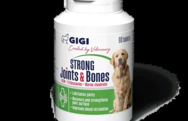 Papildai mažų ir vidutinių veislių šunims sąnariams ir kaulams Gigi Strong Joints & Bones 90 tab