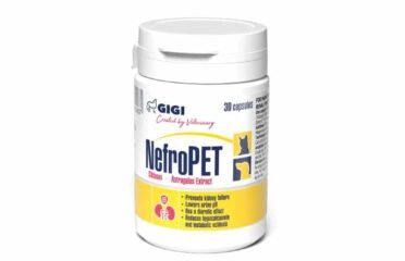 Papildai šunims inkstų veiklai palaikyti Gigi Nefro Pet 30 tab