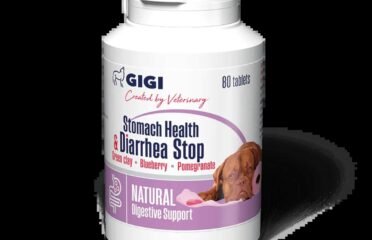 Papildai dideliems šunims nuo viduriavimo Gigi Stomach Support and Diarrhea Stop 80 tab.