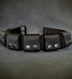 Šuns dresūros antkaklis su svarmenimis