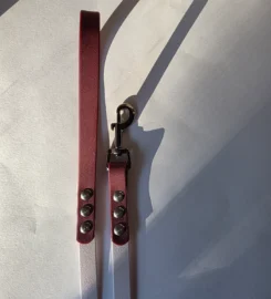 Pavadėlis dengtas pvc, baltas su bordo rankena