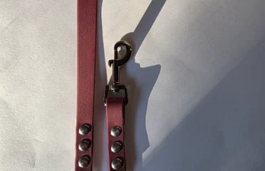 Pavadėlis dengtas pvc, baltas su bordo rankena