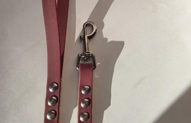 Pavadėlis dengtas pvc, žalias su bordo rankena