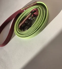 Pavadėlis dengtas pvc, žalias su bordo rankena