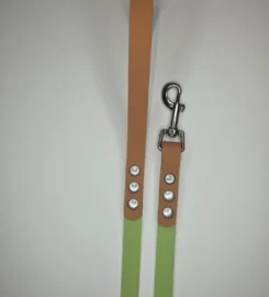 Pavadėlis dengtas pvc, žalias su ruda rankena