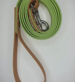 Pavadėlis dengtas pvc, žalias su ruda rankena