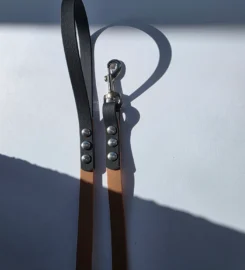 Pavadėlis dengtas pvc, rudas su juoda rankena