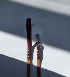 Pavadėlis dengtas pvc, rudas su bordo rankena