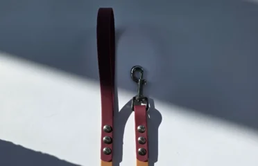 Pavadėlis dengtas pvc, rudas su bordo rankena