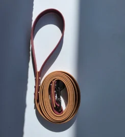 Pavadėlis dengtas pvc, rudas su bordo rankena