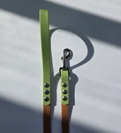 Pavadėlis dengtas pvc, rudas su žalia rankena