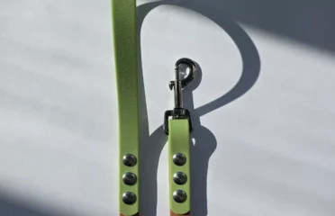 Pavadėlis dengtas pvc, rudas su žalia rankena