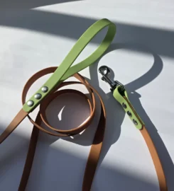 Pavadėlis dengtas pvc, rudas su žalia rankena