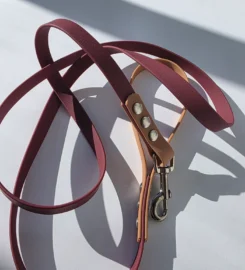 Pavadėlis dengtas PVC, bordo su ruda rankena