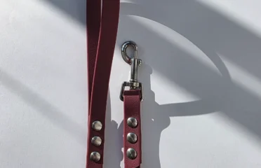 Pavadėlis dengtas pvc, bordo