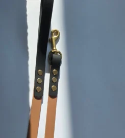 Pavadėlis dengtas pvc, rudas su juoda rankena