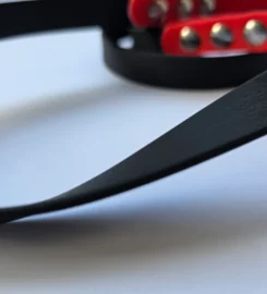 Pavadėlis dengtas pvc, juodas su raudona rankena